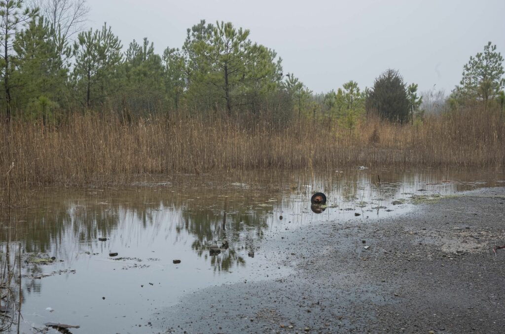 Toxic water stands on the Peck Iron and Metal Superfund Site after every rain or high tide. Credit: Michael DiBari